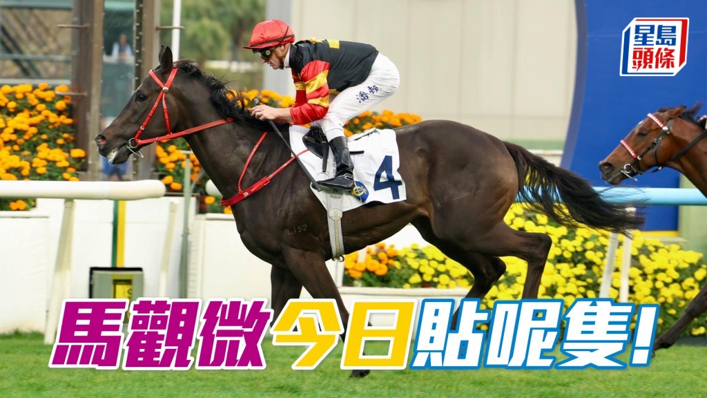 「開心指數」賀歲飆升