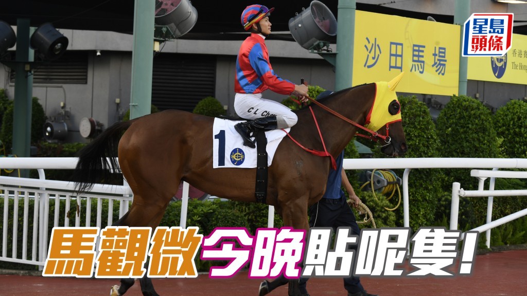 「熾烈神駒」事好頓成