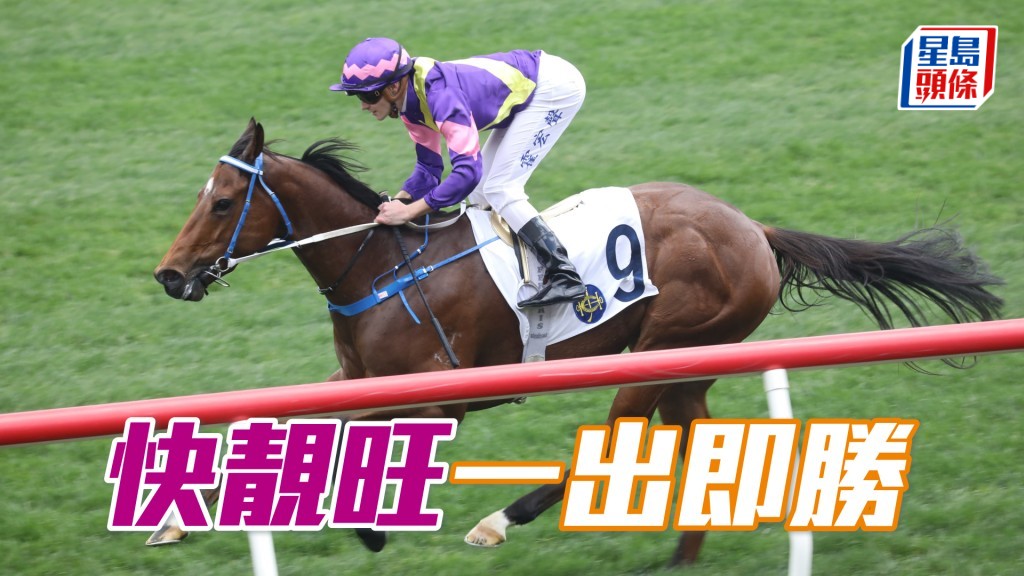 「快靚旺」一出即勝