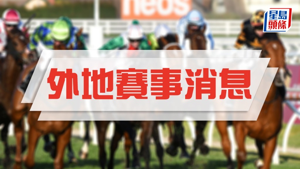 三匹南非新馬明晚抵港。