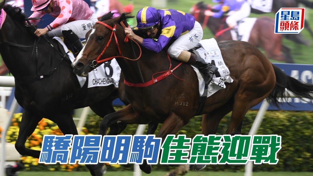 「驕陽明駒」將以佳態迎戰香港打吡大賽。