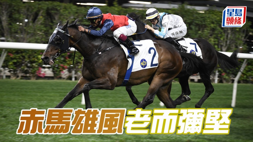 「赤馬雄風」回降四班遇弱手，勝在跑法彈性，強配布文料可重響勝鼓。