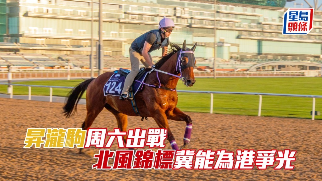 「昇瀧駒」在美丹馬場的泥地跑道上進行操練。