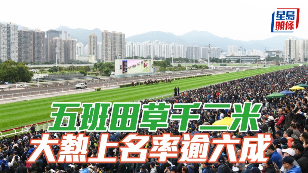 杨骏数据｜五班田草千二米 大热上名率逾六成