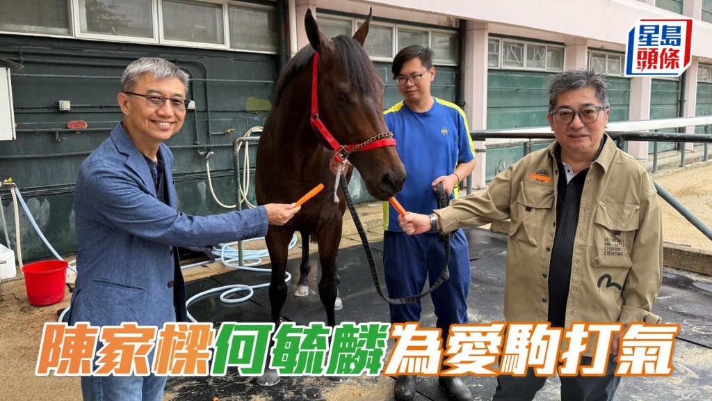 「好瑪威威」馬主何毓麟 (左) 與「金鎗六十」馬主陳家樑 (右) ,昨日(五月八日)前往呂健威馬房探望「笑傲江湖」,齊為愛駒打打氣。