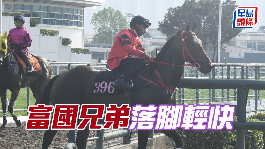 「富國兄弟」馬身結實現線條，饒具好感。