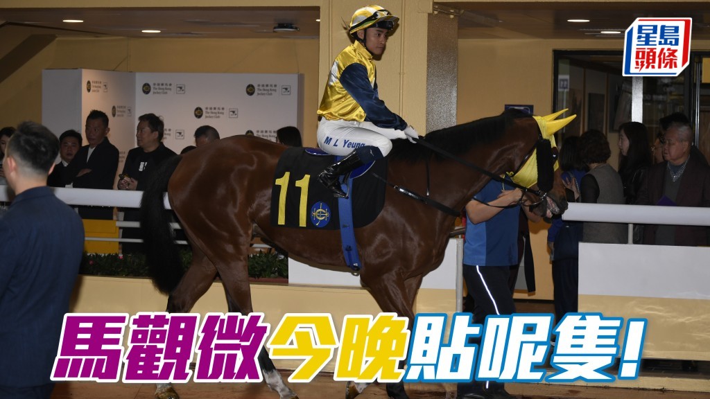 「禾道威」斯展长力