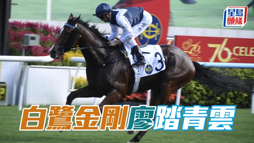 長線來說，廖康銘希望「白鷺金剛」有機會參加今季的四歲馬經典系列賽。
