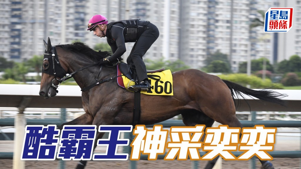 「酷霸王」神采奕奕