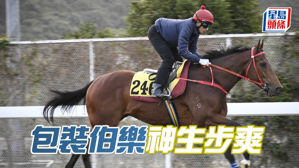 「包裝伯樂」目光銳利活力充沛，操足態勇。