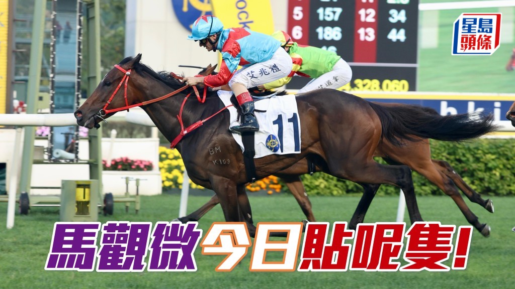 馬觀微全日心水│「南區之星」再添佳績