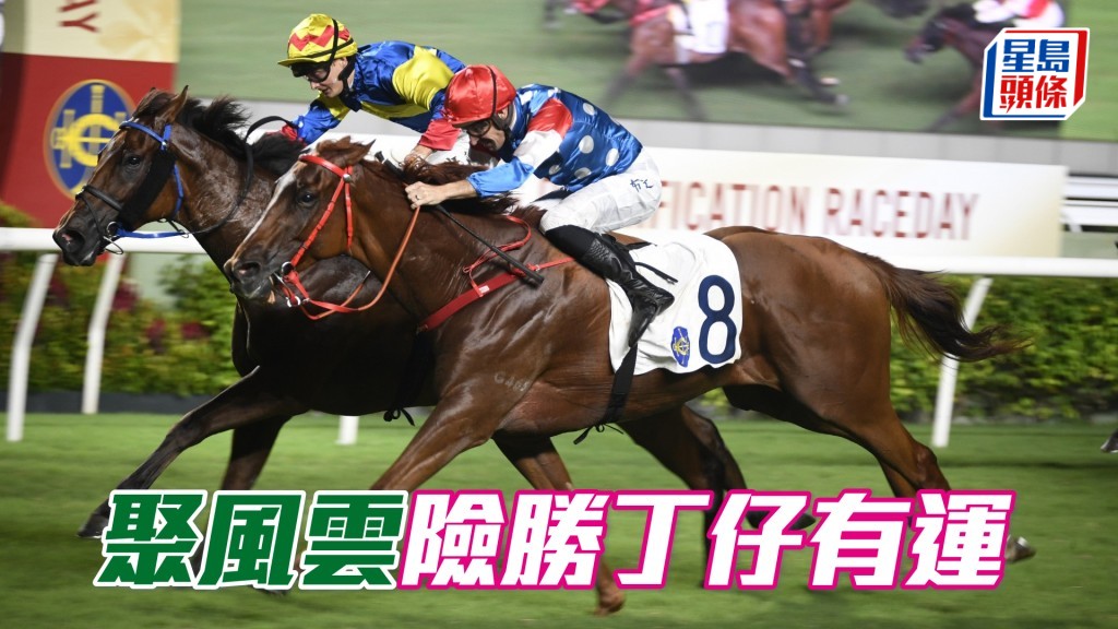 「聚風雲」勝丁仔有運