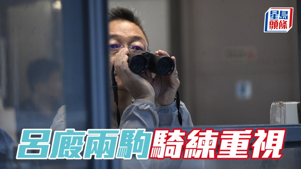 呂廄兩駒騎練重視