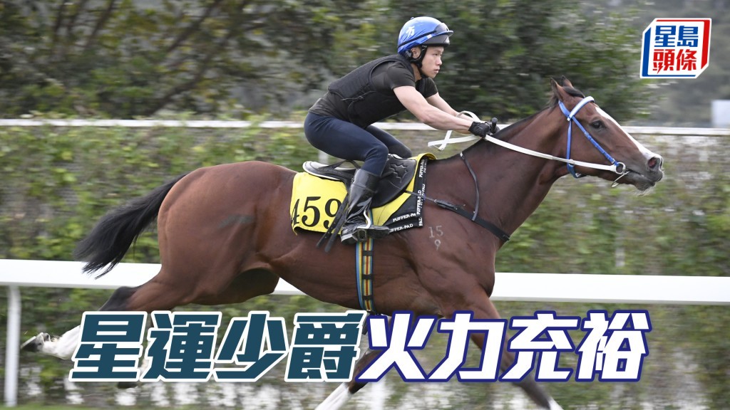 「星运少爵」担高头走好神气，去番最佳时候。