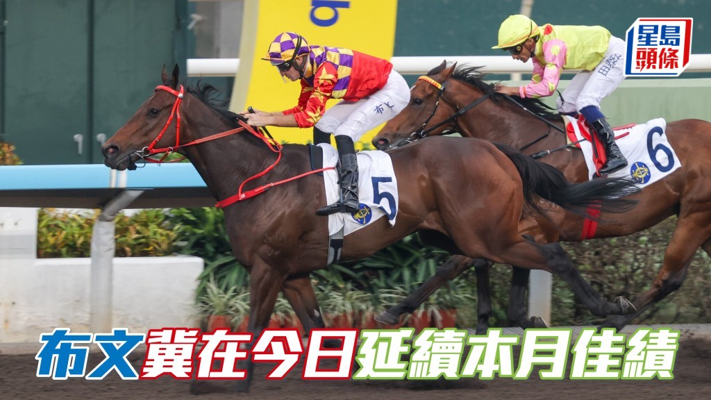 布文冀在周六沙田日賽，延續本月佳績。