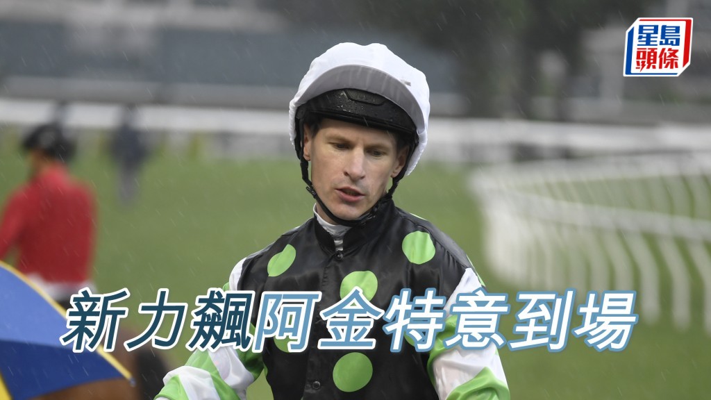 金誠剛昨朝特意到場出試「新力飆」，全朝再未有為其他馬考驗。