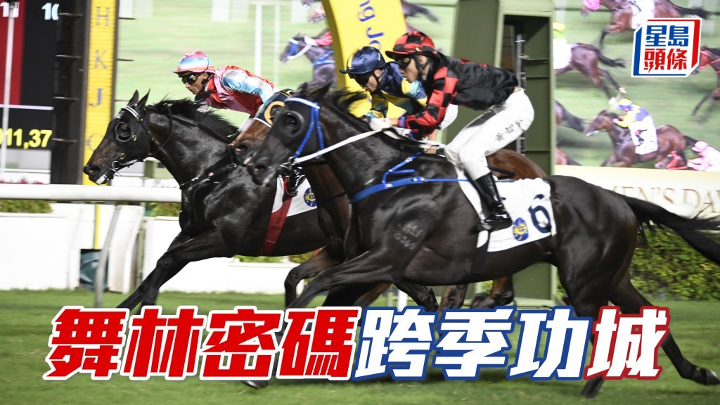 此組有近績馬寥寥可數，「舞林密碼」(外) 若能承接上季尾勇浪，跨季連捷可期。