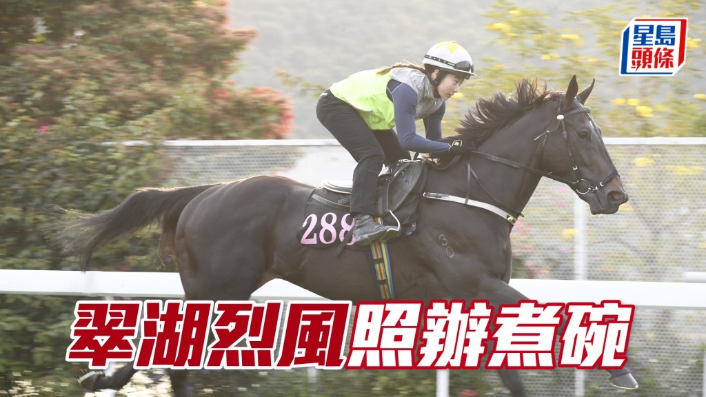 今朝「翠湖烈風」先在大圈快跳一段，然後在飛機場踱步。
