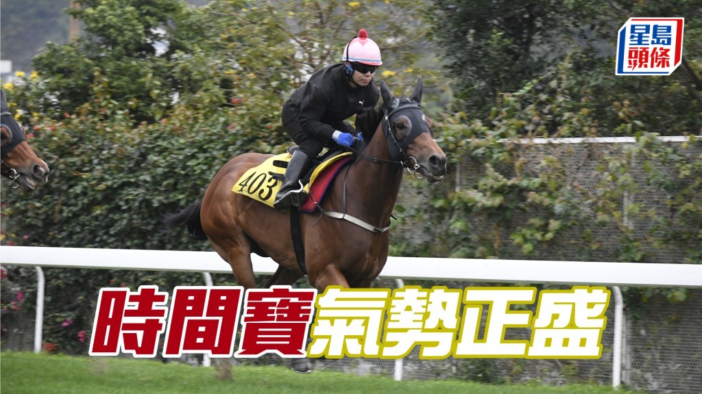 「時間寶」走勢順暢氣宇軒昂，展步俐落神態暢旺。