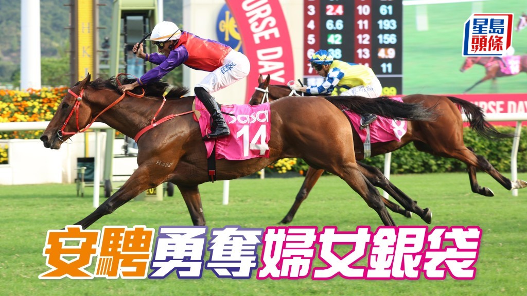 「安騁」勇奪婦女銀袋