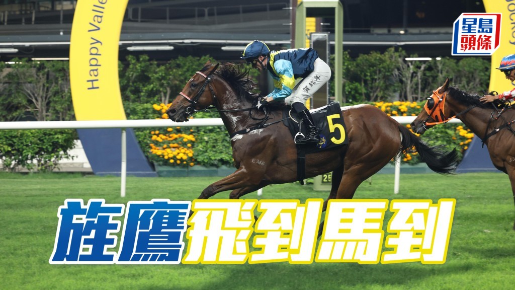 「旌鷹」飛到馬到