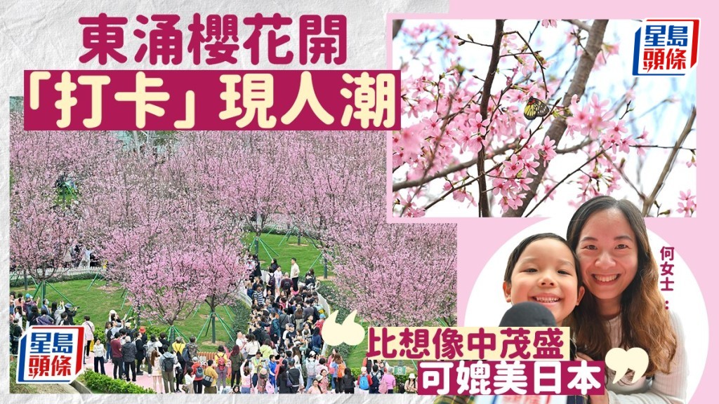 大批市民到東涌櫻花園 「打卡」。