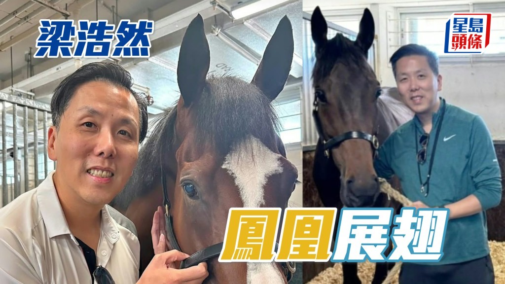 馬主梁浩然律師探望「晨曦鳳凰」（左）及「友瑩仁」。