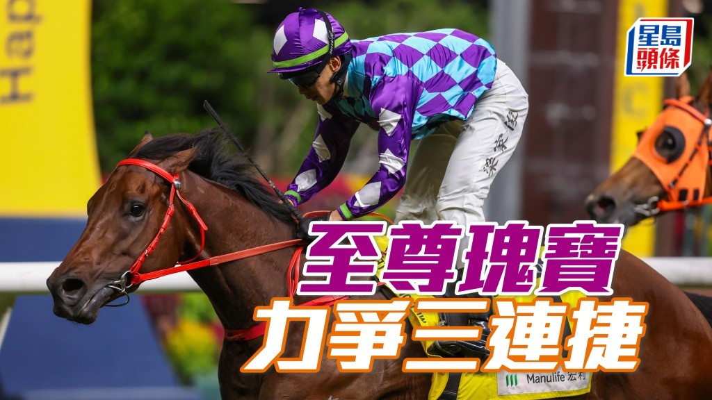 周二跑马地夜赛，「至尊瑰宝」增程力争三连捷。