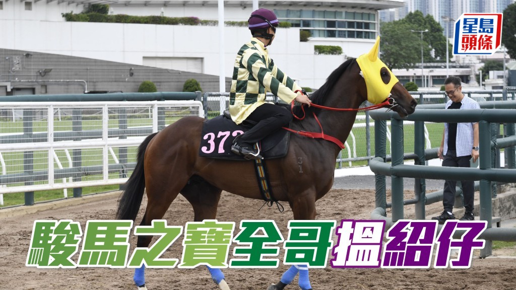 「駿馬之寶」(圖) 今朝指定蔡明紹出試，操後羅富全匆匆接馬，追問紹仔亦動態吸引。(資料圖片)
