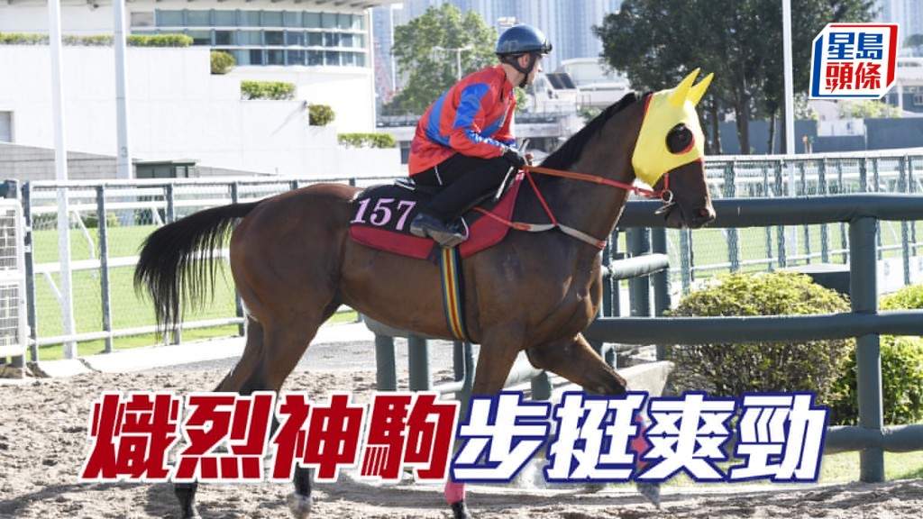 「炽烈神驹」目光锐利火气未减，依然省镜体力充沛。