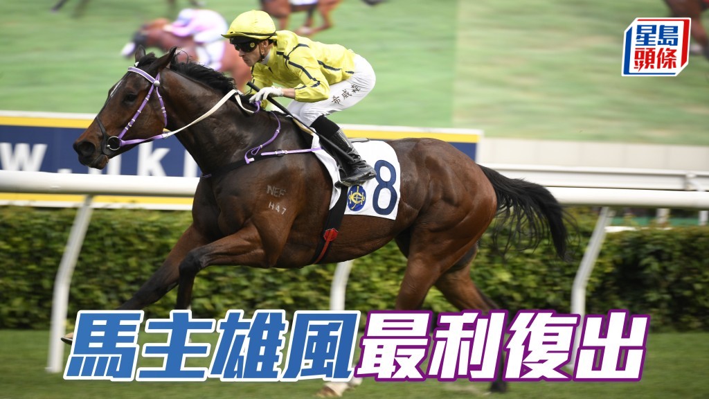 「馬主雄風」最利復出