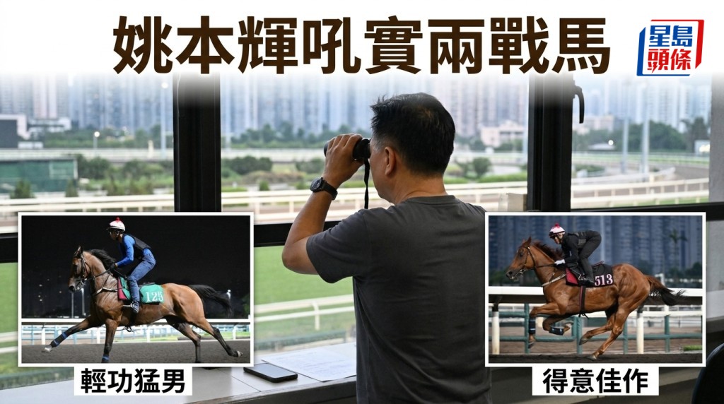 多位练马师赴澳拍卖会 姚本辉文家良留守督操 辉哥吼实两姚厩马