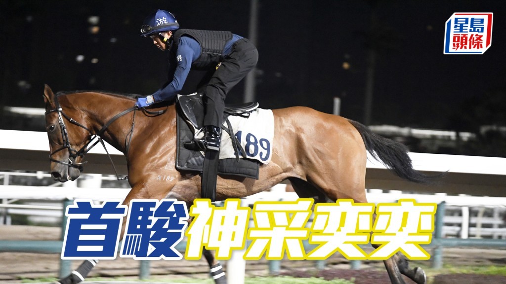 「首駿」力度充沛暗火展現，踏上正軌相當吸引。