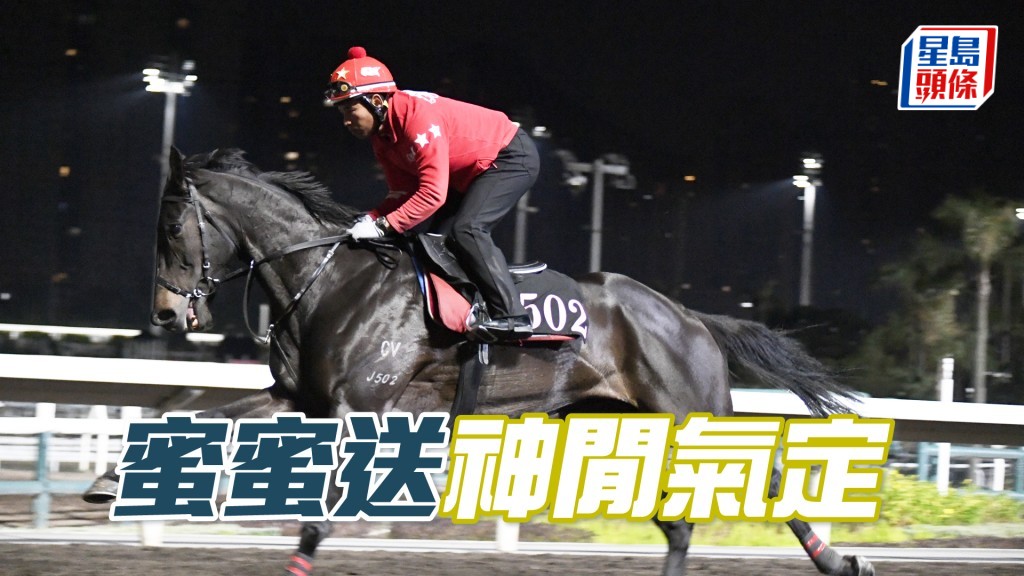 「蜜蜜送」跑姿順暢落腳輕巧，極具好感。