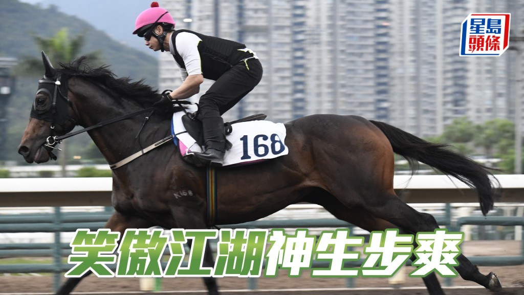 「笑傲江湖」馬身壯到不得了，目光銳利，神生步爽充滿霸氣，越贏越吸引。