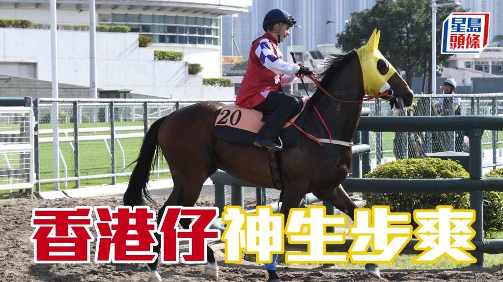 内圈捕影│ 「香港仔」神生步爽