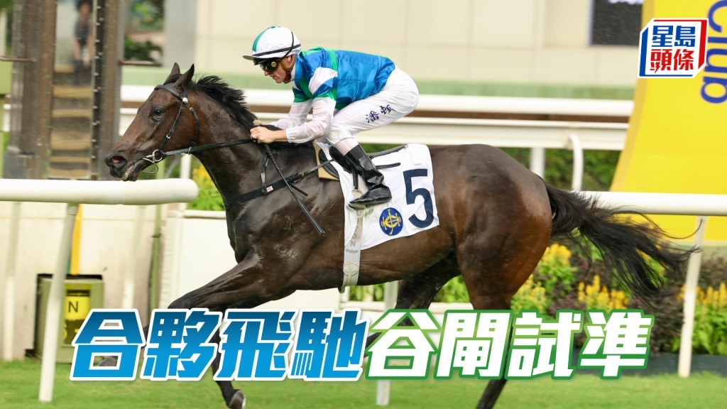 「合夥飛馳」五月份曾試谷閘,今仗對手非強,力足爭連捷。