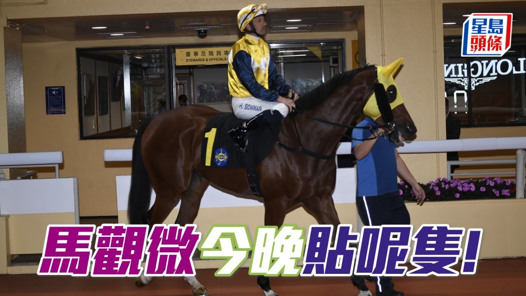 「禾道威」希凌对手