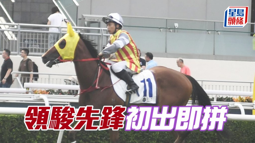 「领骏先锋」初出即拼