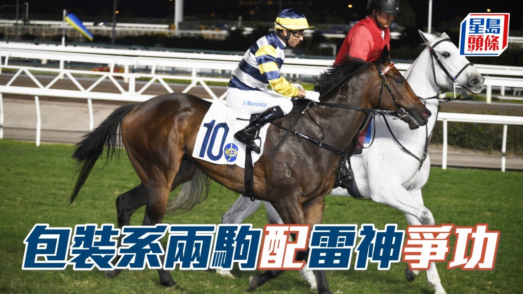 前香港冠軍騎師莫雷拉,周日將來港客串一天,除了夥拍「包裝福星」出戰打吡外,還卜定「包裝天將」(圖) 爭功。