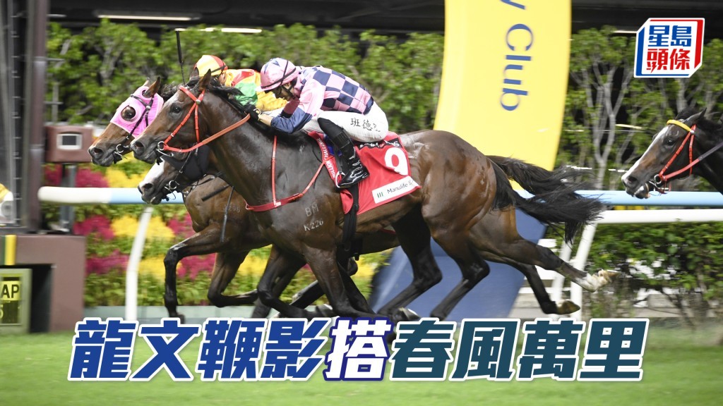 「龍文鞭影」今次若早點移出發力，應穩位望贏。