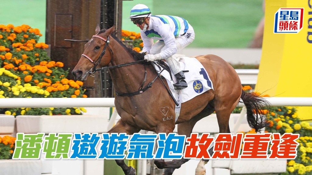 潘頓與「遨遊氣泡」故劍重逢 力爭花旗銀行香港金盃