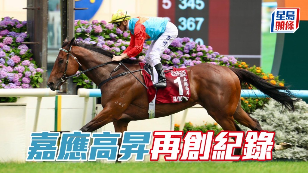 「嘉應高昇」再創紀錄