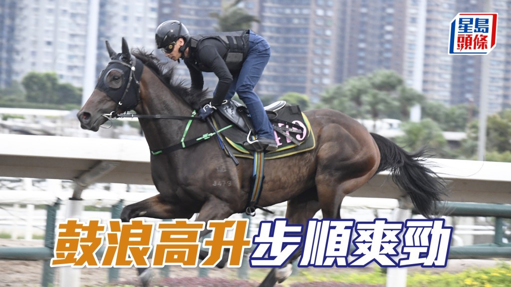 「鼓浪高升」暗火展現身壯力健，去番最佳境界。