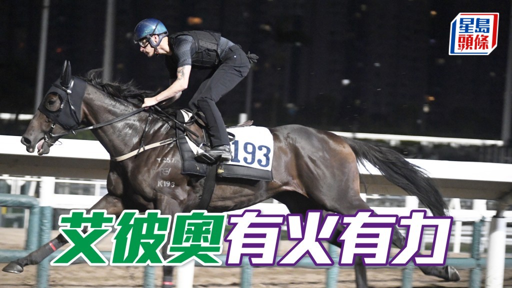 「艾彼奧」氣宇軒昂試得淡定，馬身嬌嫡嫡動作靈活。