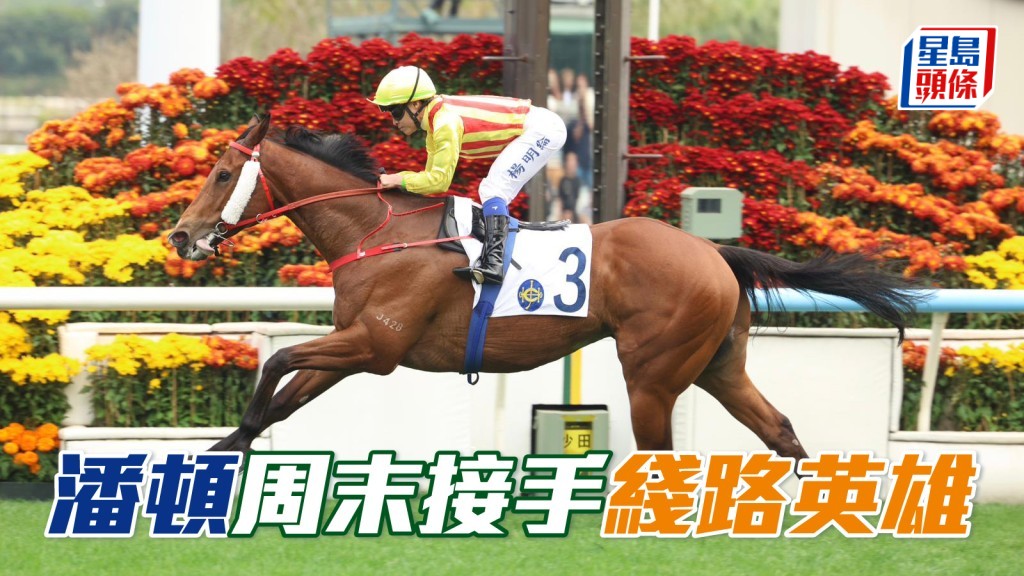 潘頓周末接手「綫路英雄」