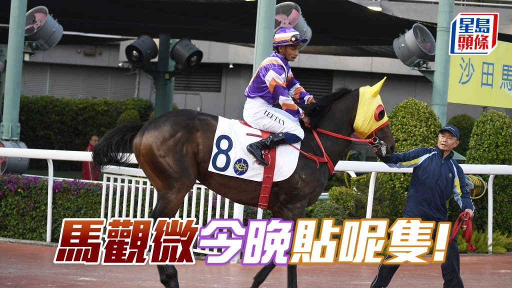 「榮駿大道」踏闊步