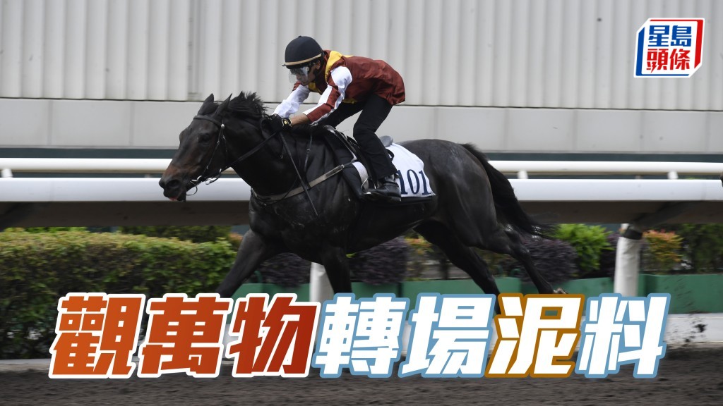 第三場「觀萬物」轉馬房後工夫從頭做起，近課泥閘有起色，今次初跑泥地兼有裝備變動，冷門值得一吼！