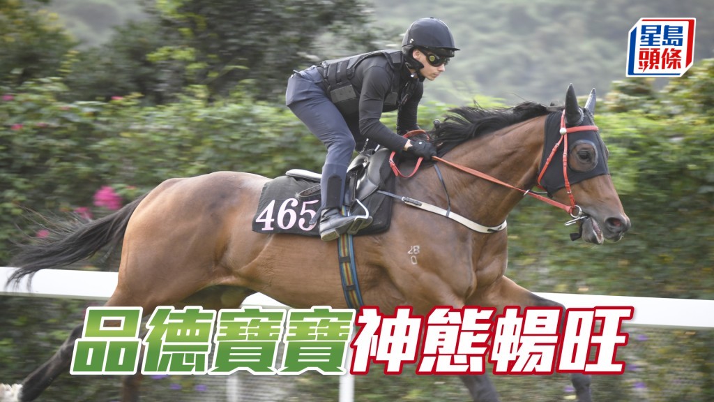 「品德宝宝」暗火展现身又靓，持续见好浑身是劲。