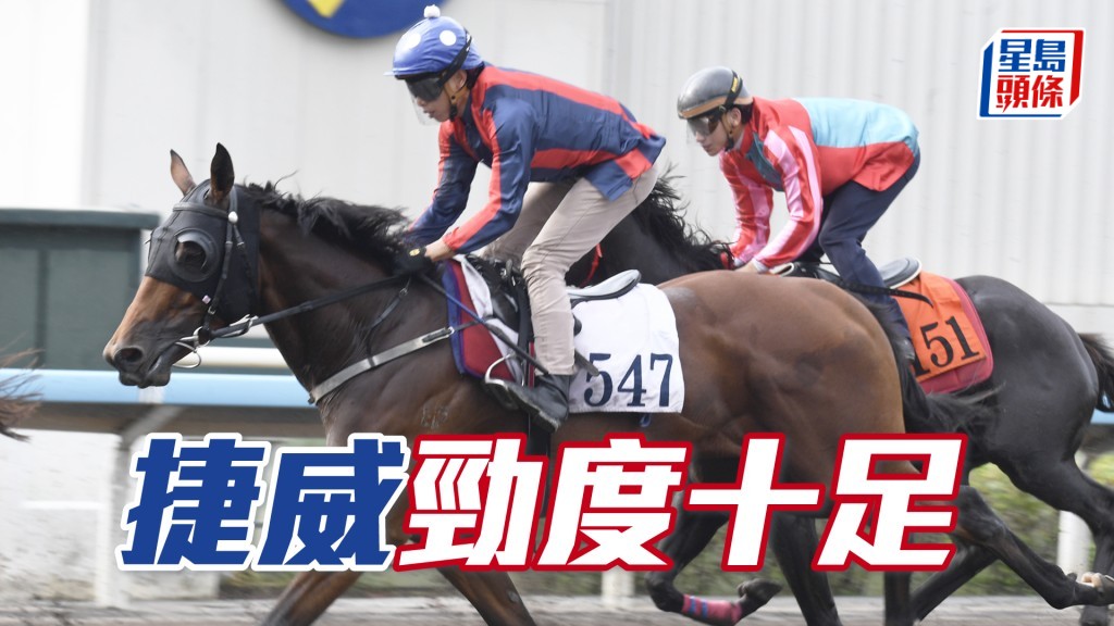 「捷威」洒開大步衝刺，不斷進步佳態洋溢。